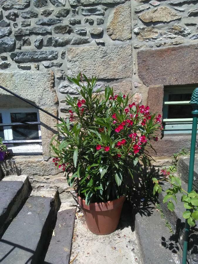 Le Refuge Des Alpes Mancelles Apartman Fresnay-sur-Sarthe Kültér fotó